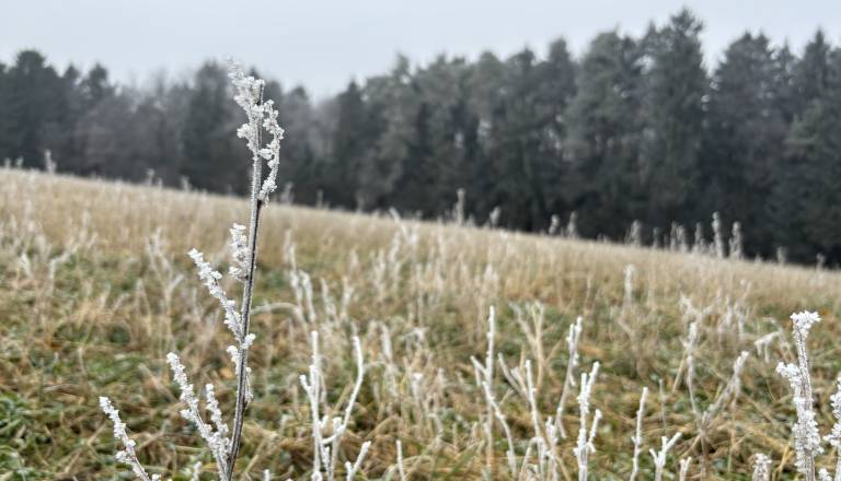 Zima se prebuja: čaka nas hladna noč in megleno jutro