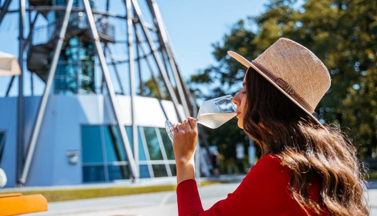 Lendava v znamenju tradicije, vina in veselja