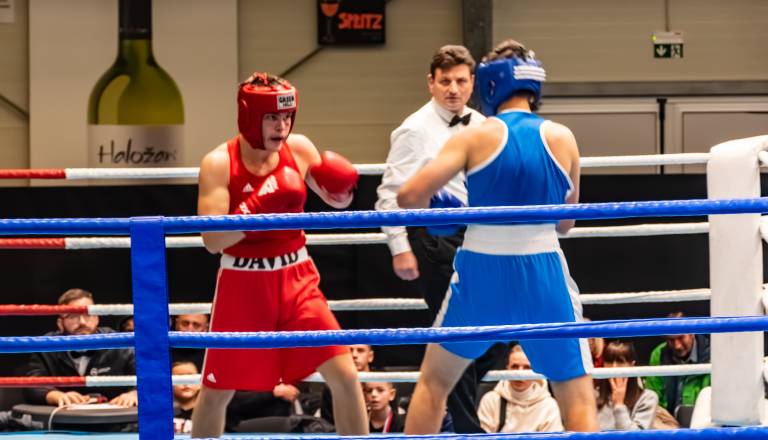 FOTO in VIDEO: Na Ptuju državno prvenstvo v boksu