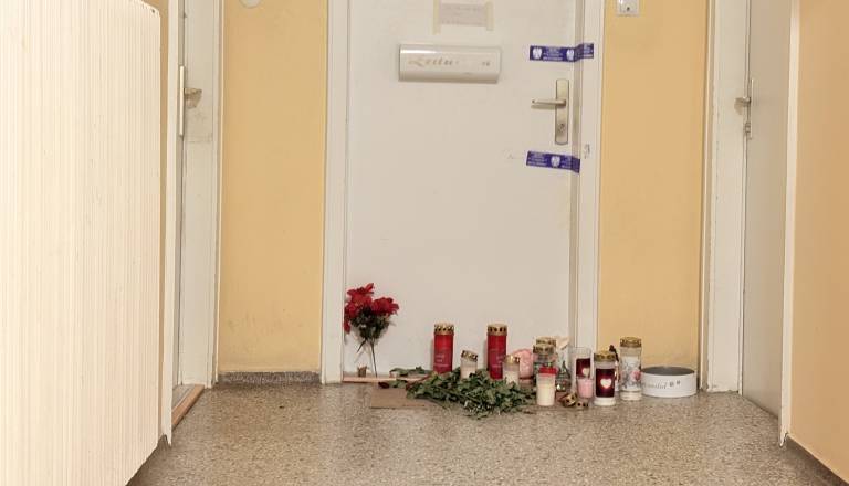 31-letnik se je zlomil in policiji povedal, kje je truplo. Znane so podrobnosti umora avstrijske vplivnice ...