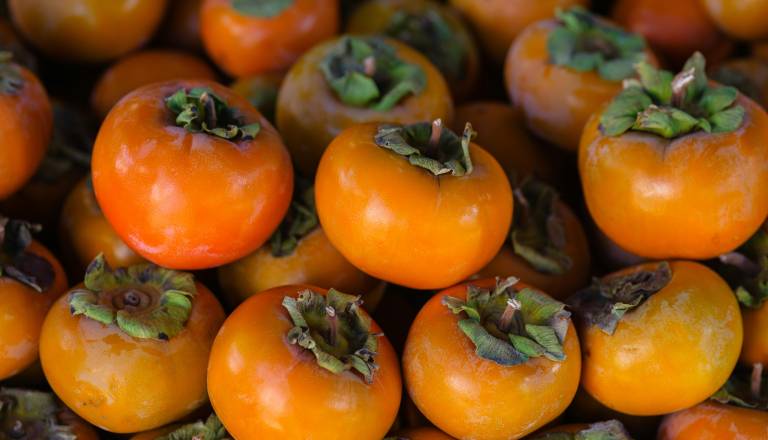 Je kaki obilno obrodil? Tako ga lahko shranite