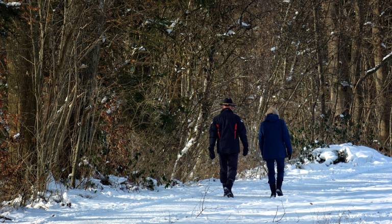 Anketa: Slovenci opažajo negativne okoljske spremembe, skrbi jih obnova narave