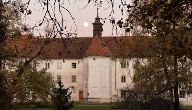 Bobrova luna bo razburkala čustva, ta znamenja bodo doživela ljubezenski pretres