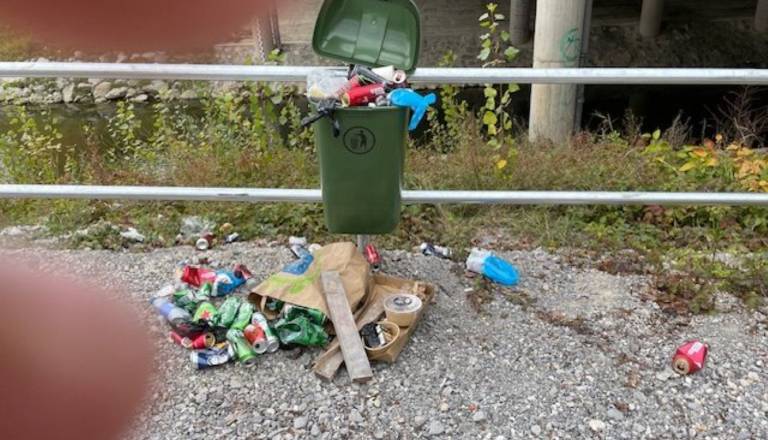 Prepoln koš na pešpoti na Viču: Župan je prst uperil v te občane, rešitev pa bo enostvna