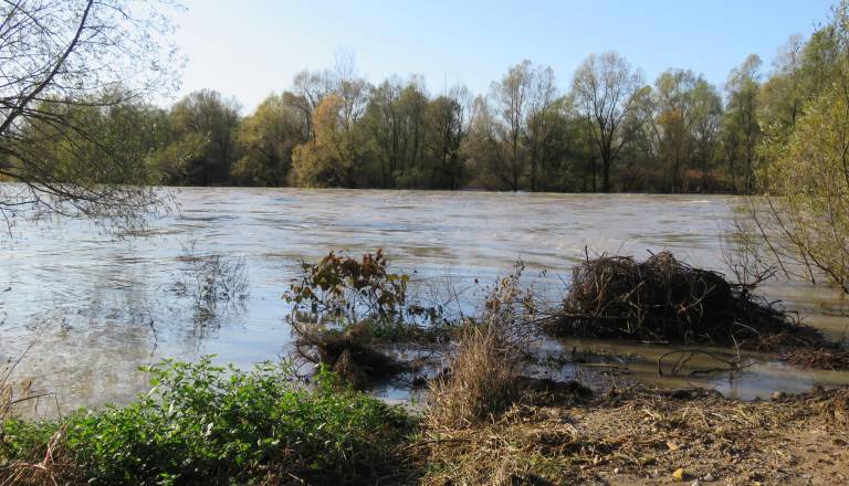 Trinajst let po katastrofalnih poplavah Drave oškodovanci brez pravega zadoščenja