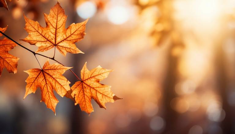 Dan, ko čustva vrejo in potrpežljivost pojenja