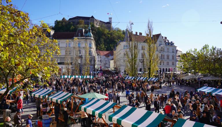 November v Ljubljani v znamenju žlahtne kapljice: Dva velika vinska praznika v središču prestolnice