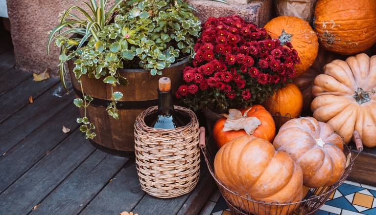 Bobrova luna prinaša razkritja in konec iluzij