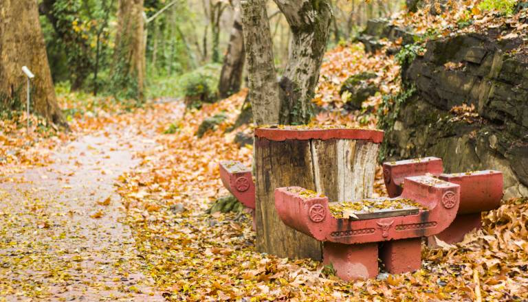 Ta znamenja čaka ljubezenski pretres