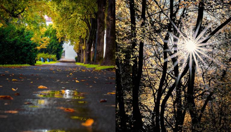 FOTO in VIDEO: »Zadnji dih svetlobe« v Murski Soboti 