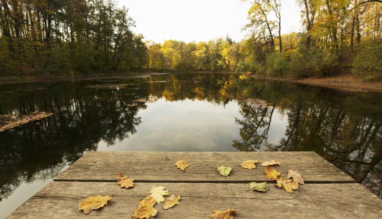 Bobrova luna razburka odnose in prinaša presenečenja