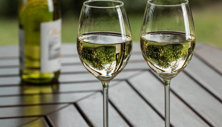 Kam na Martinovanje na Štajerskem? Vabijo Ptuj, Maribor, Haloze in drugi ...