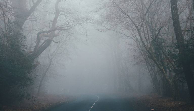 Megla ponoči in temperaturni obrat: Kaj nas čaka ta vikend?