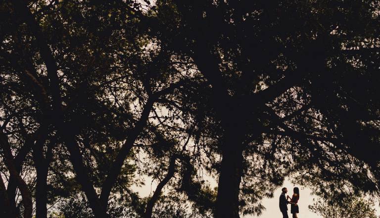 Ljubezenske iskre in razkritja: Venera prinaša skušnjave, Pluton pa razkriva resnico