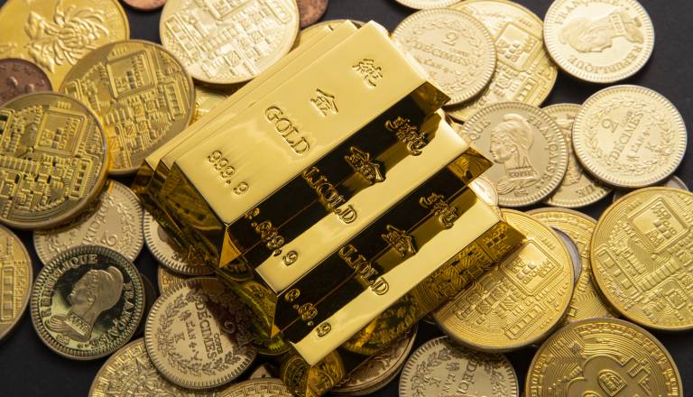 Med kopanjem bazena naletel na pravo bogastvo