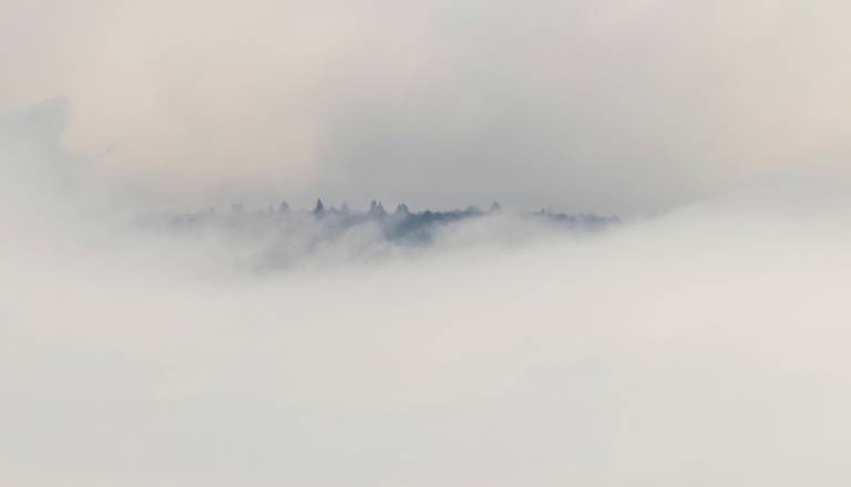 Megla in nizka oblačnost bosta po nižinah še naprej vztrajali