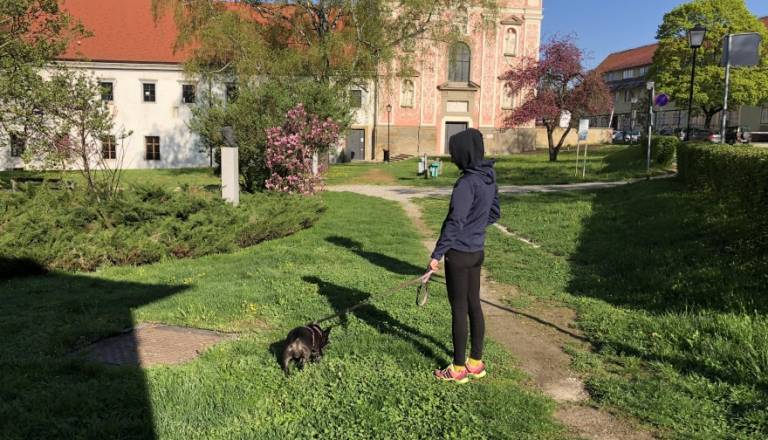 Pasjih kakcev na ptujski ulici toliko, da bi jo lahko preimenovali? »Nekateri so še vedno preveč brezbrižni do skupnega prostora.«