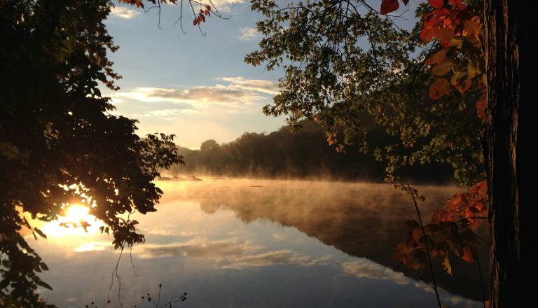 Kakšen konec tedna je pred nami? Martinov vikend bo meglen 