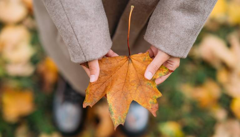 Veliki mesečni horoskop za november 2025: Ljubezen, preobrazbe in presenečenja na vsakem koraku