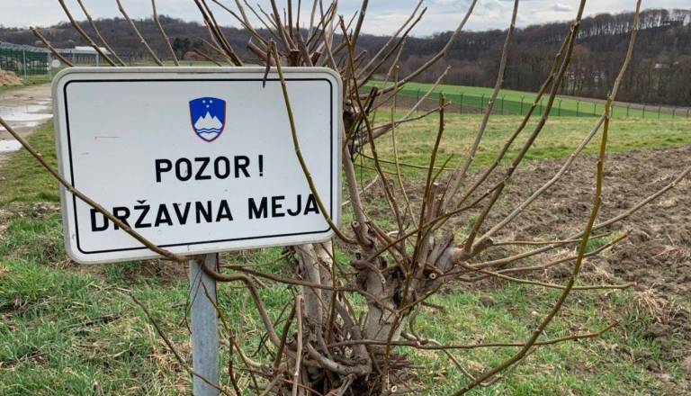 V Pomurju kar dvajset tujcev prijeli pri nedovoljenem vstopu v državo