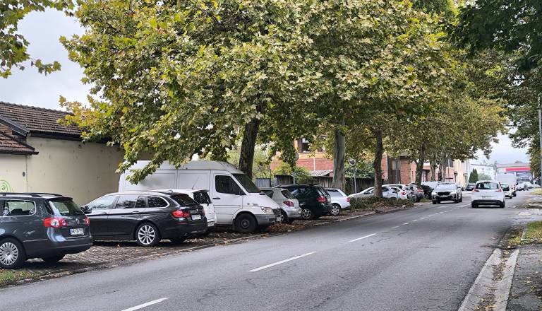 FOTO: Na Valvasorjevi ulici v Mariboru 'pajek' redno v akciji: Kaj vozniki tam množično spregledajo?