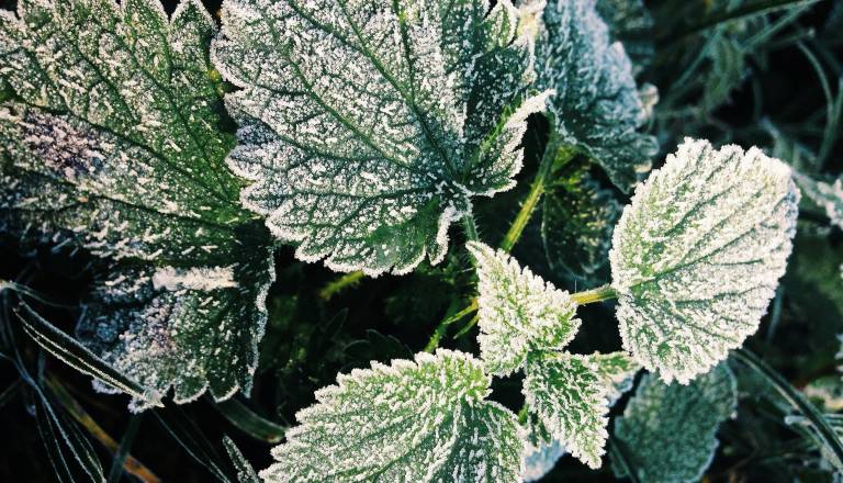 Vreme bo zmerno do pretežno oblačno s krajevnimi padavinami