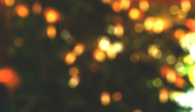 Melania Trump znova navdušila z okrasitvijo Bele hiše: 55 kilogramov medenjakov in tisoči zlatih zvezd