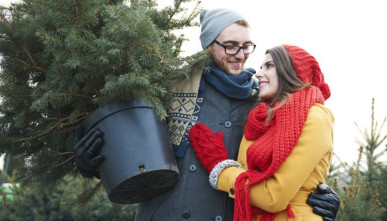 Veliki mesečni horoskop za november 2025: Katera znamenja bodo zaključila staro leto v velikem slogu?