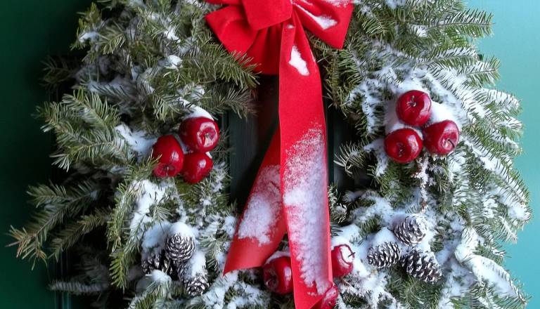 Božična razkošnost Melanie Trump: 51 dreves, 75 venčkov in morje lučk