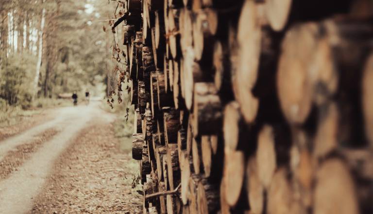 Domov se ni vrnil; našli so ga v gozdu, kjer je tudi umrl