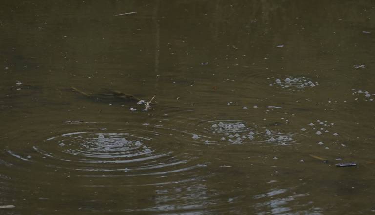 Na Savi se je prevrnil čoln z migranti, trije mrtvi