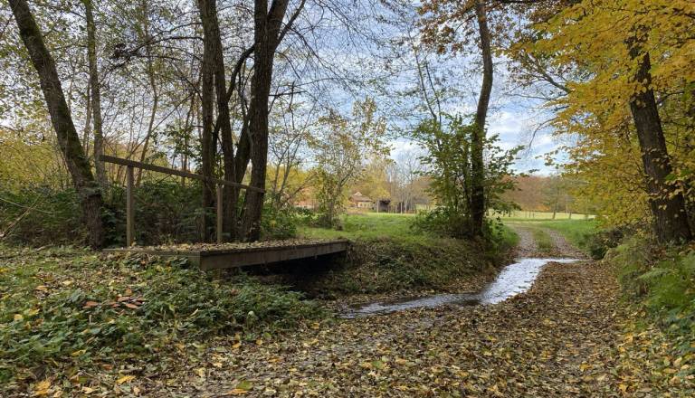 Po dveh tednih brez sledu se je oglasila mama pogrešanega Štajerca: »Kjerkoli si, vedi, da te pogrešamo«