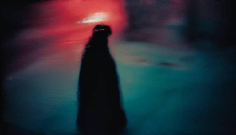 Planeti prinašajo intenzivne občutke. Kdo se mora pripraviti?