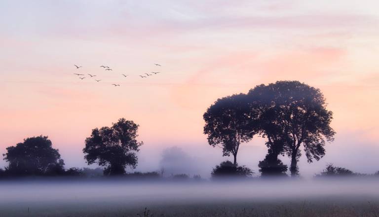 Kljub jutranji megli, vreme zna presenetiti: kje bo danes najlepše?