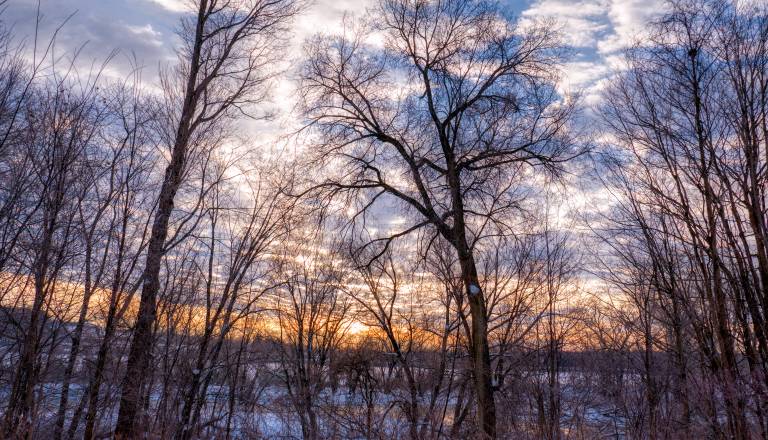 Zimski solsticij, dan bo trajal manj kot devet ur