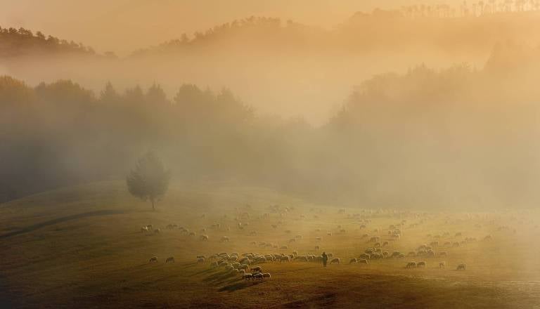 Pred nami meglena in oblačna nedelja, kaj prinaša začetek tedna?