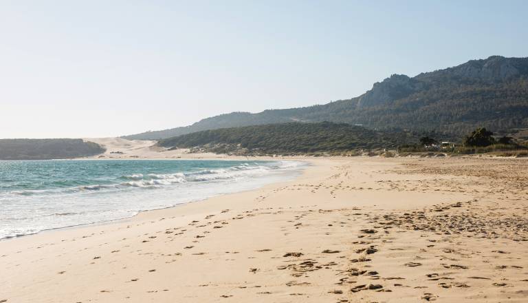 Grozljivka na znameniti avstralski plaži: V streljanju več mrtvih in ranjenih 