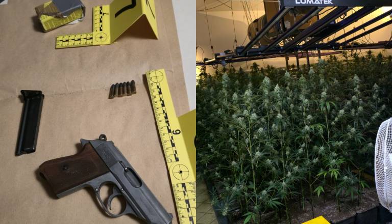 V Šiški policisti zasegli več kot 400 sadik konoplje in pištolo z naboji