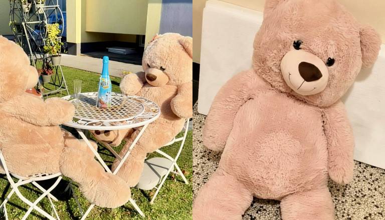 Oče medvedek je spet doma: Pred blok na Pobrežju vrnili ukradenega medvedka