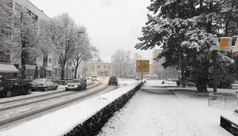 Bomo letos imeli bel božič?