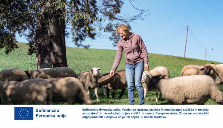 VIDEO: Na Goričkem gradijo mlečno zgodbo z znakom Izbrana kakovost