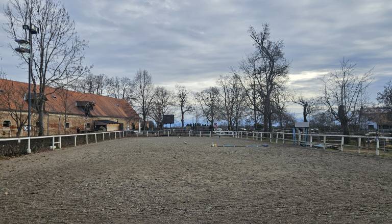 Občina išče najemnika hlevov in jahalnih površin v dvorcu Rakičan