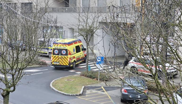 Na Kocljevi ulici posredovala policija 