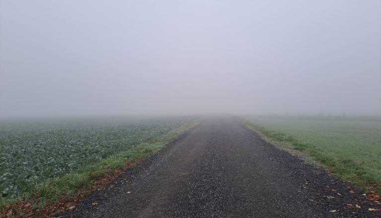 Megla, ki vztraja in vztraja, zakaj je Pomurje že dolgo ujeto v turobno vreme?