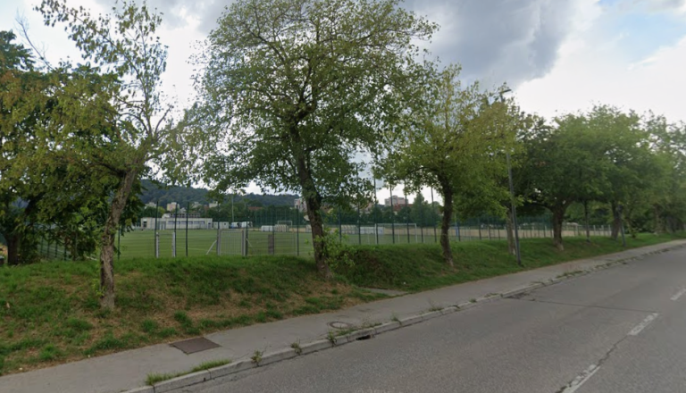 Bo po poseku dreves ob Atletskem centru v Šiški zrasel nov drevored?