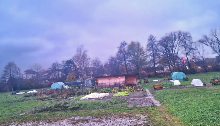 Mestni vrtički kot del prihodnjih novogradenj na Ptuju