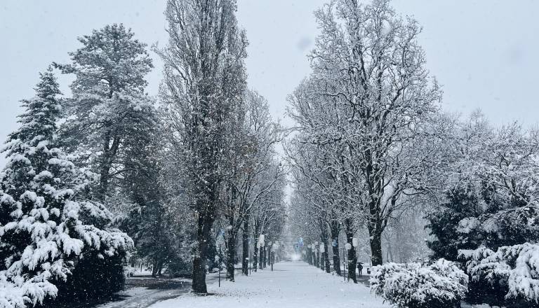 Meteorolog razkril, kakšno bo božično jutro v Pomurju