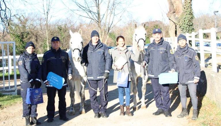 Policija preizkuša dva lipicanca: Če se izkažeta, ju januarja čaka zaposlitev 