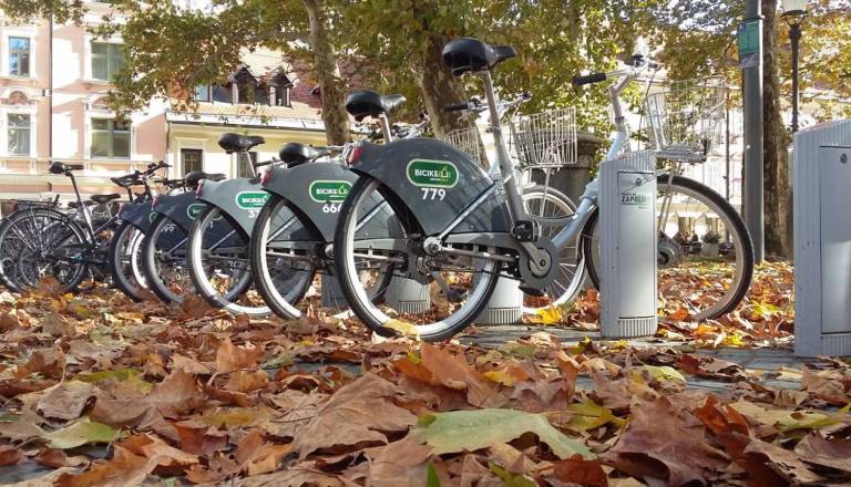 Nevarno listje preplavlja ulice Ljubljane: Župan razkriva razlog zamude pri čiščenju