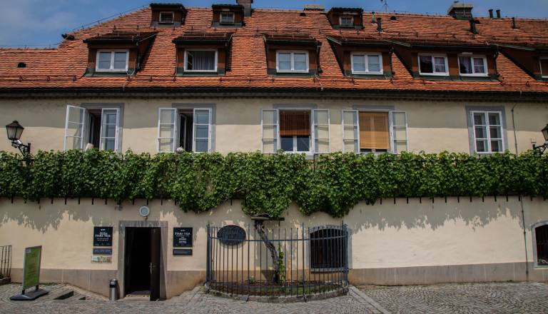 Zavod za turizem Maribor: Najstarejša trta v Mariboru ostaja najstarejša žlahtna vinska trta na svetu, ki še vedno obrodi